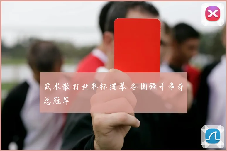 武术散打世界杯揭幕 各国强手争夺总冠军