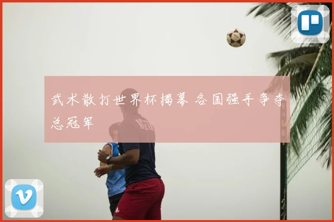 武术散打世界杯揭幕 各国强手争夺总冠军