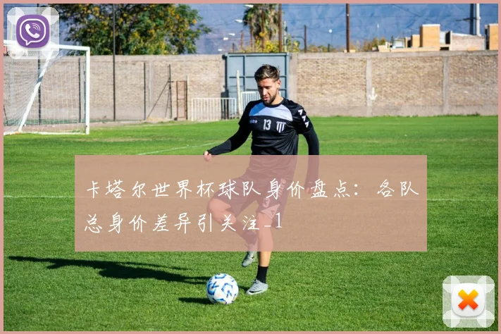 卡塔尔世界杯球队身价盘点：各队总身价差异引关注_1